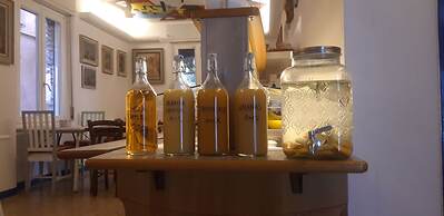 Meublè Adriana Vegan