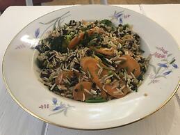 Meublè Adriana Vegan