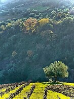 Guesthouse Gerofotis