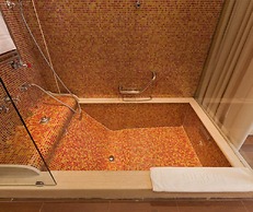 Hotel Silver