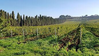 Tenuta di Pietra Porzia