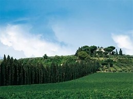 Tenuta di Pietra Porzia