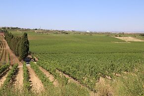 Tenuta di Pietra Porzia