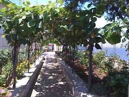 Domus San Vincenzo - Casa Religiosa di Ospitalità