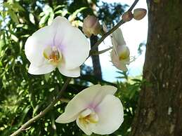 Logis Hôtel Villa Victorine