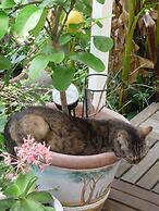 Logis Hôtel Villa Victorine