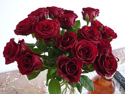 Logis Hôtel Villa Victorine