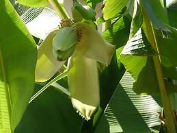 Logis Hôtel Villa Victorine