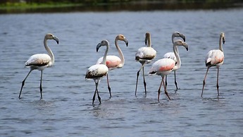 Hotel Estalagem Riabela