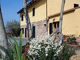 Il Gelso