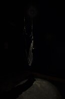 SUITE SISTINA FOR BRAVE LOVERS