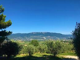 Agriturismo Camiano Piccolo