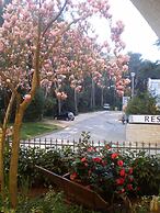 Bed & Breakfast Vila Kristina