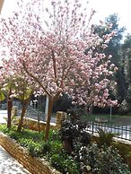 Bed & Breakfast Vila Kristina