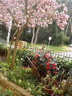 Bed & Breakfast Vila Kristina