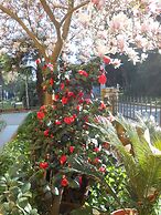 Bed & Breakfast Vila Kristina