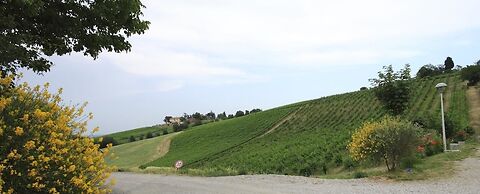 Agriturismo Borgo delle Vigne