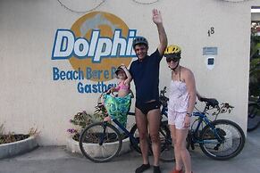 Dolphin Pousada Gasthaus