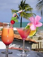 Dolphin Pousada Gasthaus