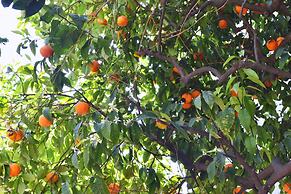 La Villa Nice Promenade