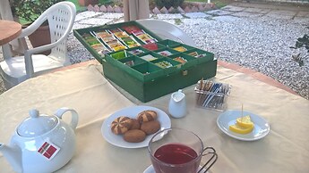 La Mimosa Bed and Breakfast