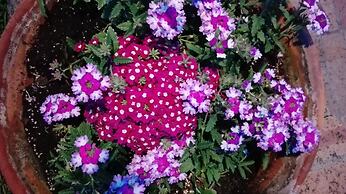 Hotel Borgo Antico - Poggiòlo del Principe