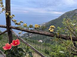 Affittacamere Sant'Alfonso