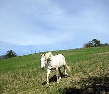 La Tavola dei Cavalieri
