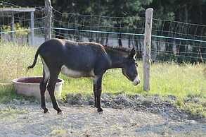 La Tavola dei Cavalieri