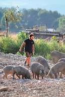 La Tavola dei Cavalieri