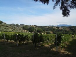 Podere Caldaruccio La Pineta