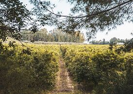 Borgo Valle Rita - Country Resort