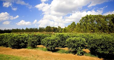 Borgo Valle Rita - Country Resort