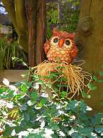 Villaggio Fiori d'Arancio