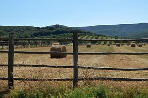 Tenuta Uccellina