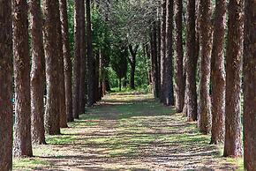 Agriturismo Il Pornelleto - Villa Alari