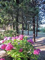 Agriturismo Il Pornelleto - Villa Alari