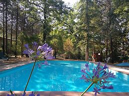 Agriturismo Il Pornelleto - Villa Alari