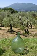 Agriturismo Il Pornelleto - Villa Alari