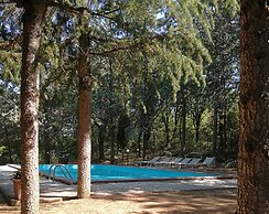 Agriturismo Il Pornelleto - Villa Alari