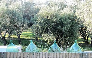 Agriturismo Il Pornelleto - Villa Alari