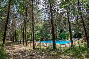 Agriturismo Il Pornelleto - Villa Alari