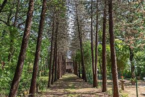 Agriturismo Il Pornelleto - Villa Alari