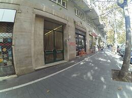 La Stella di Roma B&B