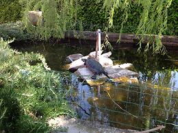 Hotel Villa Cà Nova