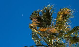 Bed and Breakfast Opera