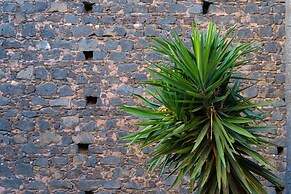 Bed and Breakfast Opera