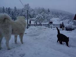 Les Chamois
