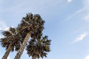 B&B La Terrazza sul Mare