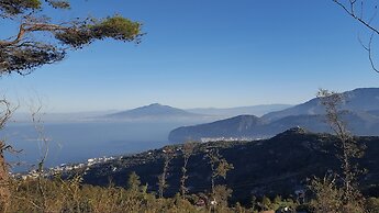 Gli Ulivi Agriturismo